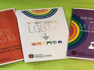 Guías de derecho y red institucional