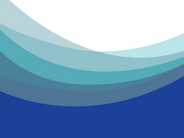 Victorian Ombudsman's Report on disability parking infringements