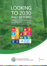 The SDG Discussion Paper by the NIFG