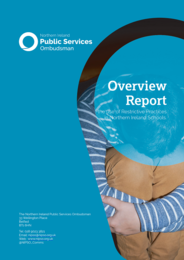 NIPSO publishes overview report