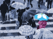 British Columbia Ombudsperson publishes Annual Report 2021/22