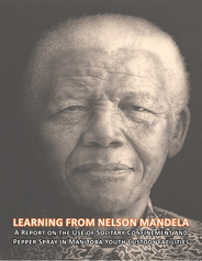 Joint investigation report