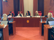 La síndica hablando en el Parlamento