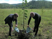 Planting a tree in Nyírerdő Nyírségi Erdészeti Zrt State Forest