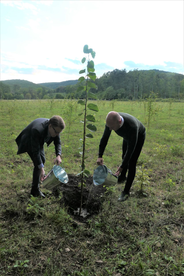 Planting a tree in Nyírerdő Nyírségi Erdészeti Zrt State Forest