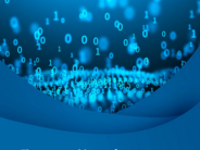 NSW Ombudsman Special Report