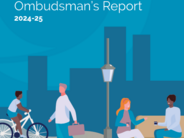 NIPSO publishes annual report