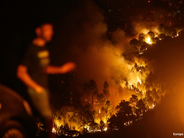 Hay que reforzar la prevención y la coordinación en la lucha contra los incendios forestales