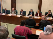 El síndic comparece en el Parlamento