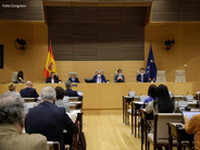 Presentación en el Congreso