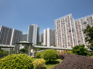  The Ombudsman probes arrangements for recovering public rental housing flats by authorities