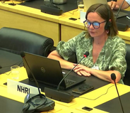 The Ombudswoman submitted a Shadow Report to the UN Committee on the Elimination of Racial Discrimination