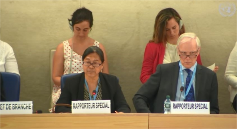 Special Rapporteur on the Human Rights of Internally Displaced Persons ...