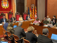 La síndica presenta el informe