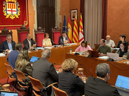 La síndica presenta el informe