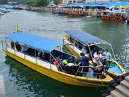Own-motion investigation into ferry services