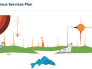 Indigenous Service Plan released