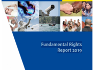 The Fundamental Rights Report 2019