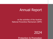 Report on the activities of the Austrian NPM in 2024 now available in English
