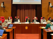 La Comisión de Infancia del Parlamento 