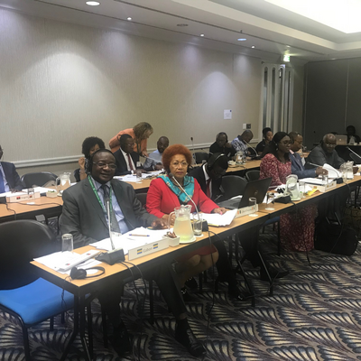 Numerous Ombudsman seized the opportunity and participated at the training in Durban