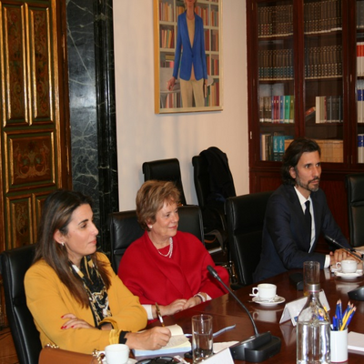 María Lúcia Amaral, Provedora de Justiça de Portugal