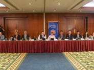 public discussion of the findings and recommendations of the report on the ad hoc monitoring