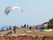 results of investigation into Civil Aviation Department’s regulation of paragliding activities