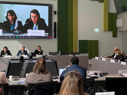 Conférence du Réseau police du Conseil de l'Europe