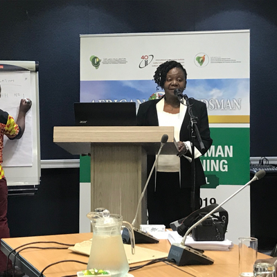 Discussing topics, relevant for the African region