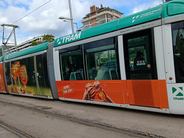 La Sindicatura inició una actuación de oficio sobre campañas publicitarias de bebidas alcohólicas en autobuses de Transportes Metropolitanos y en paradas de tranvía