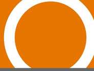 Own initiative investigation report