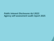 The Agency self-assessment audit report is now available