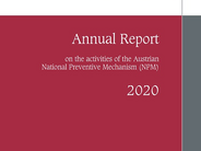2020 Report on Activities of Austrian NPM