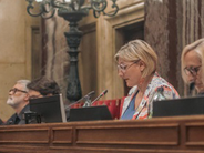 Consejo Asesor Catalán