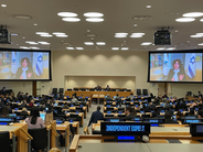 Dr. Esther Ben-Haim at UN working group