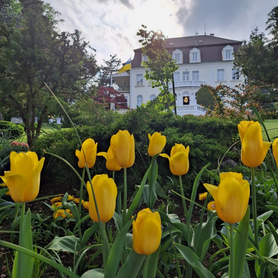 The grounds at the entrance of the Ukrainian Embassy in Vienna, Austria