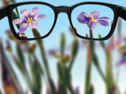 Ombudsman for Bermuda tables Annual Report 2020