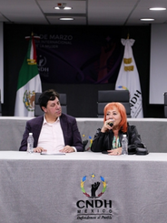 colaboracíon para defensa, protección y promoción de los derechos humanos