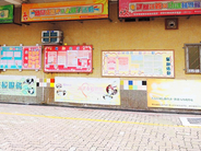 Direct investigation into arrangements on display of publicity materials in public housing estates