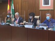 El Defensor del Menor de Andalucía